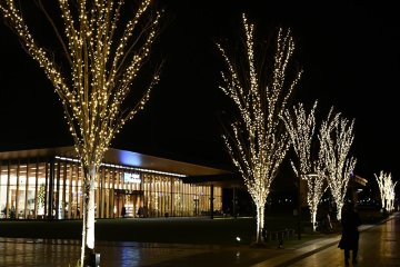 Ama Illuminations 2024-2025
