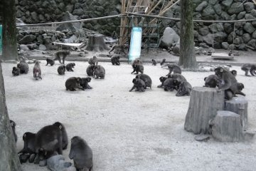 Feeding time