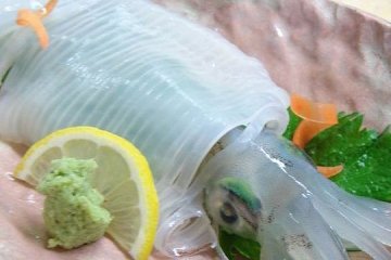 Raw Kensaki Squid
