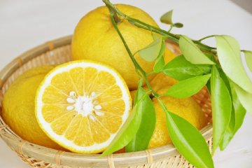 Fresh summer oranges in Hagi City