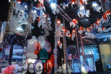 Shirakami Winter Aquarium Exhibition 2023