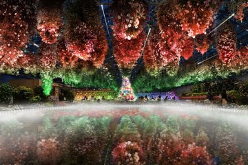 Begonia Christmas Night at Nabana No Sato 2023
