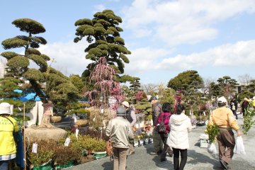 Kurume Ueki Festival 2027