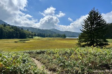 Views as perfect as a postcard