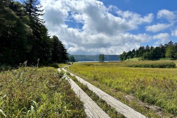 Follow the wooden boardwalks across the shitsugen