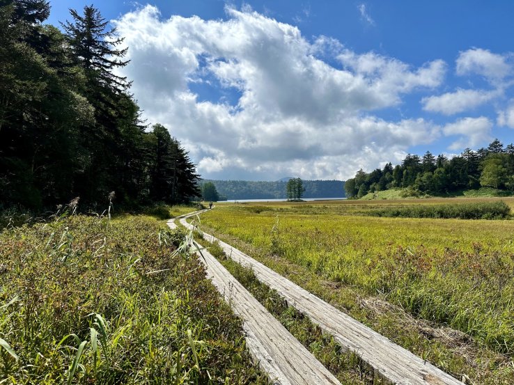 Follow the wooden boardwalks across the shitsugen