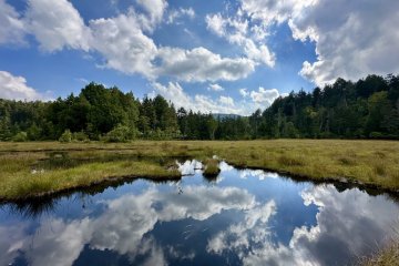 A perfect mirror