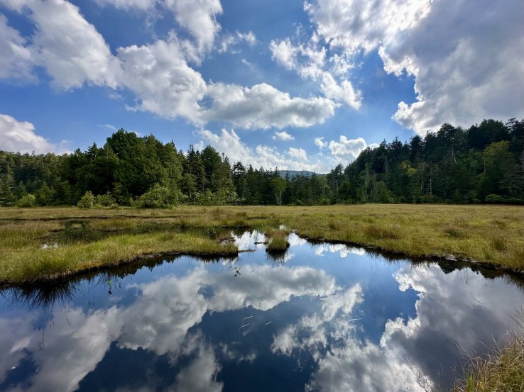 A perfect mirror