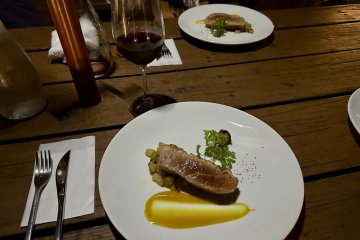 Expertly-cooked duck with apple garnish paired with red wine