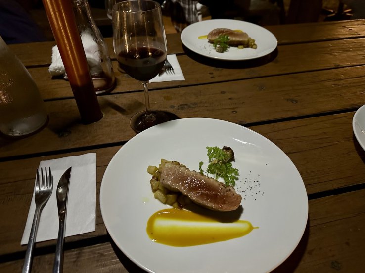 Expertly-cooked duck with apple garnish paired with red wine