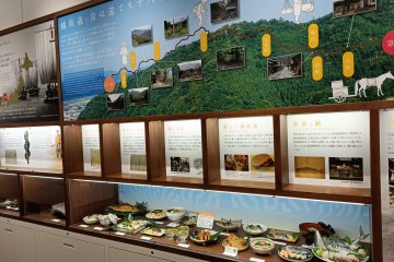Example of display case 