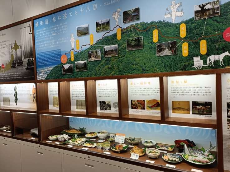 Example of display case 