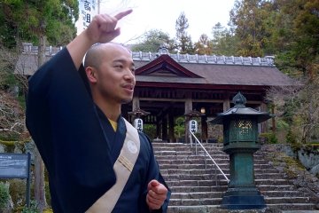 Temple-town tour guided by a junior priest