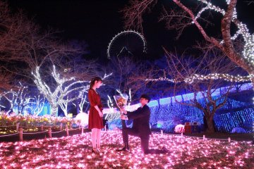 Sagamiko Illumillion Operation Love Confession 2024