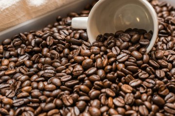 Yokosuka Coffee Festival 2026