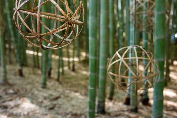 Expo 2025 Osaka, Kansai, Japan-Inspired Travel Activities