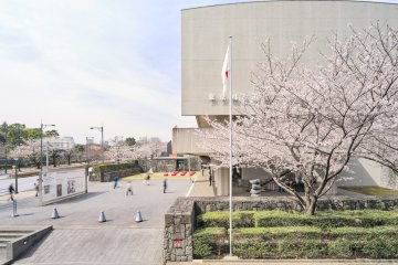 Spring Festival in the National Museum of Modern Art, Tokyo 2024