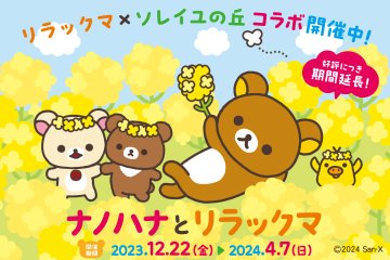 Nanohana and Rilakkuma in Soleil Hill 2023-2024