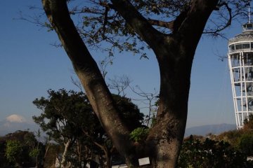 Enoshima island's lighthouse tower "Sea Candle"
