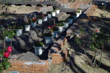 Cocking collected thousands of rare plants and put all his efforts into nurturing them. But now only brick ruins remain.
