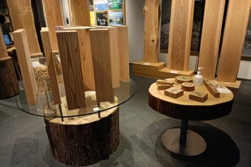 Lost in wood