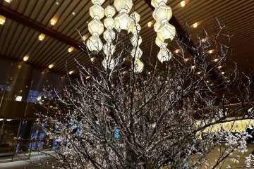 Flower and lamps in the lobby