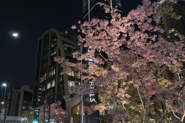 Beautiful scenery at Azabudai Hills