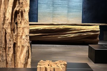 The check-in lounge has a striking design