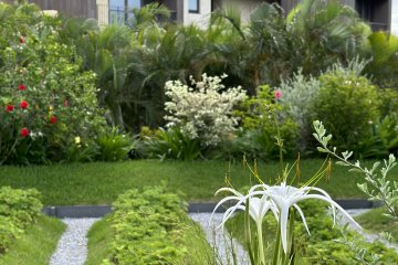 The lush grounds of Hoshinoya Okinawa