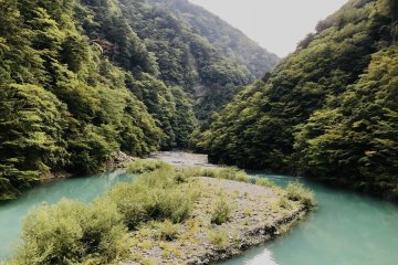 Hazy summer afternoon, it had rained the day before, stirring up sediment in the river