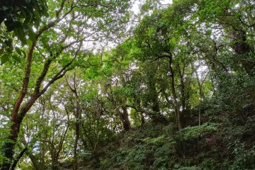 Shiroyama Hill