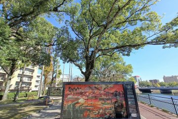 High tech and nature