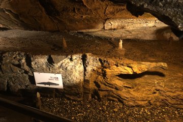 Aligator shaped rock formation