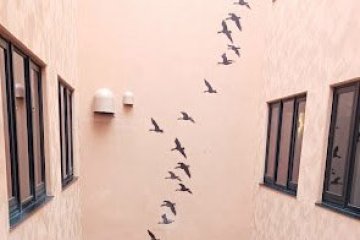Wall