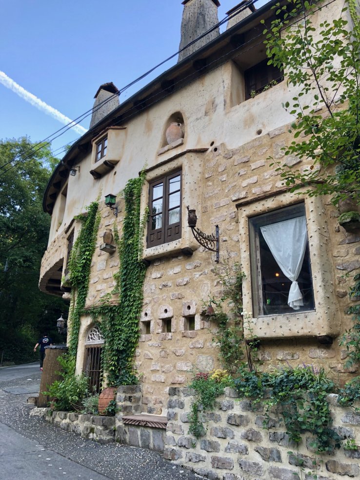 Cute little cottages with ivy climbing the walls 