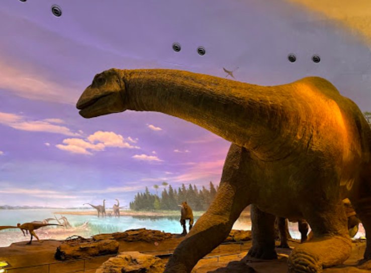 Huge dioramas with working animatronics give visitors a glimpse of how dinosaurs used to live