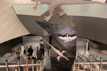A giant atrium near the entrance of the museum features 5 models of the dinosaurs found in Fukui