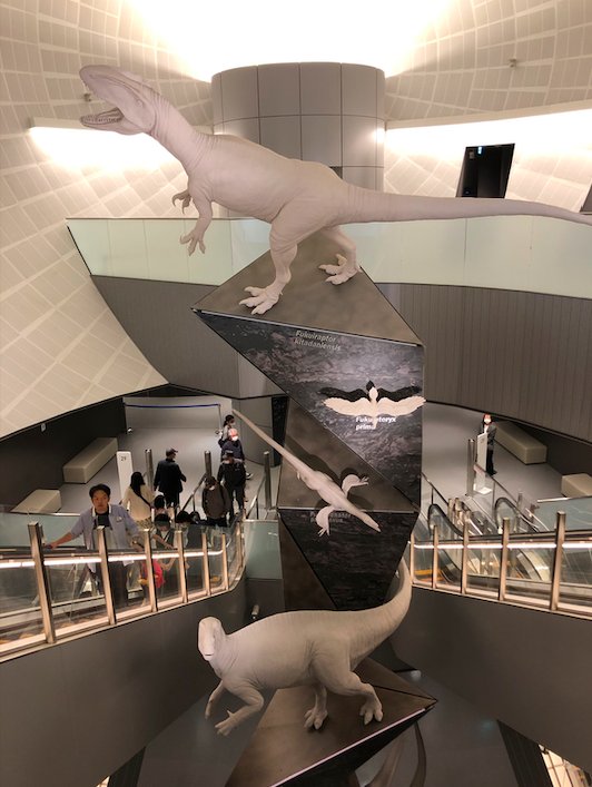 A giant atrium near the entrance of the museum features 5 models of the dinosaurs found in Fukui