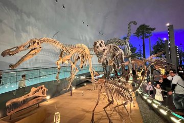 The museum has 50 real-sized dinosaur exhibits as part of their permanent exhibition