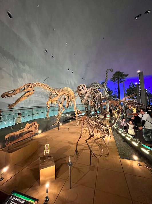 The museum has 50 real-sized dinosaur exhibits as part of their permanent exhibition