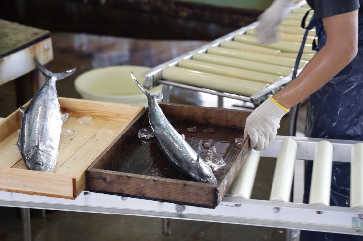 Akashi Fish Market - The Seri
