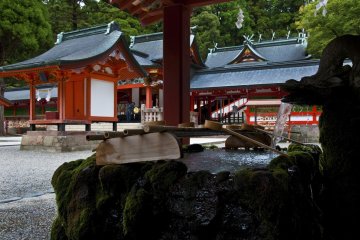 Purification fountain