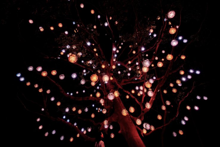 teamLab, Resonating Universe in the Tabunoki Tree © teamLab