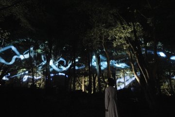 teamLab, Continuous Trajectories © teamLab