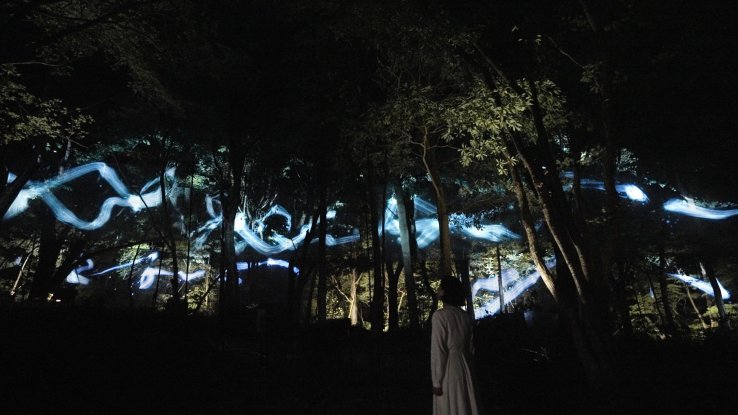 teamLab, Continuous Trajectories © teamLab