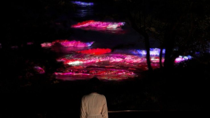 teamLab, Flowers Bloom When the Waves Rise - Sea of Izura © teamLab