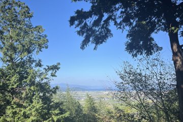 View from the summit through the trees
