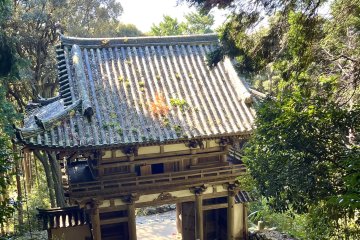 Niomon Gate