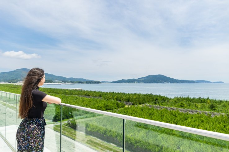 Point de vue sur l'océan