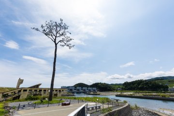 Le pin miraculeux avec l'auberge de jeunesse Rikuzentakata